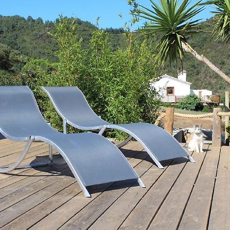 Vida Pura Guesthouse 오데세시 외부 사진